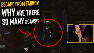 Why are there so many Scavs? (Escape from Tarkov)