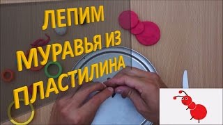 Лепим МУРАВЬЯ из пластилина| Лепка животных из пластилина