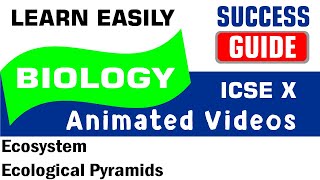 ICSE IX BIOLOGY Ecosystem-3- Ecological Pyramids by Success Guide