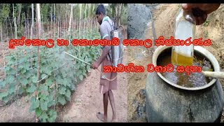 දුන්කොල හා කොහොඹ කොල නිස්සාරණය කාබනික වගාව සදහා