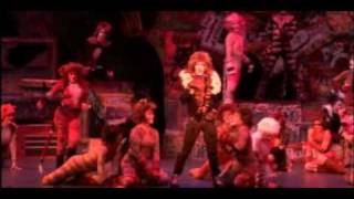 St. Xavier High School - Cats - The Rum Tum Tugger