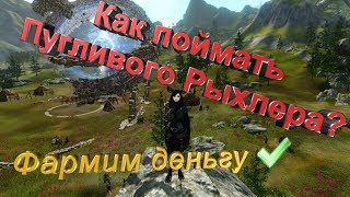 ArcheAge 5.5 Фарм голды \ Пугливый Рыхлер \ Перепачканный ларчик