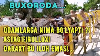 Bu Xolatda Jim Turib Bo‘lmaydi.Odamlar Ko‘zingizni Oching.