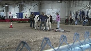 A look inside the Big E and the 4H program
