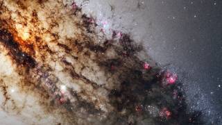 Warped Galaxy in Turmoil