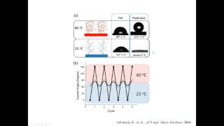 Nanomaterials Webinar : Stimuli-Responsive Polymers
