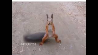 Хаахха