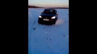Wingle 5 в поле
