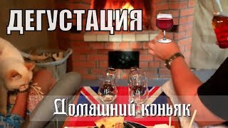 ? Дегустация ? ДОМАШНЕГО коньяка и вина ?