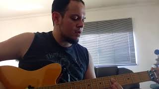 Dead Kennedys - Too Drunk to Fuck guitar cover