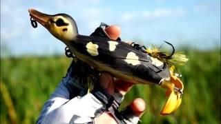 Savage Gear Suicide Duck - IQ-Files Lures Teaser Trailer
