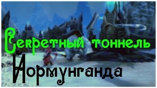 Diversion АЭ vs АА (WORLDERUS) 29.30.2016 Тоннель PvP  Aion Ruoff 5.3