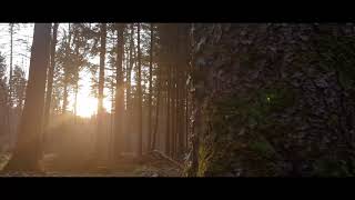 Cinematic shots with the Vimble 2