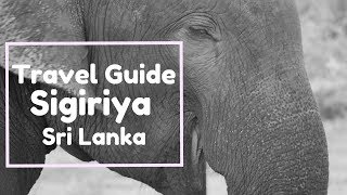 Sigiriya, Sri Lanka. Hike up Sigiriya Rock Fortress and visit elephants with us.