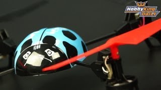 HobbyKing Daily - Beetle Mini Quadcopter