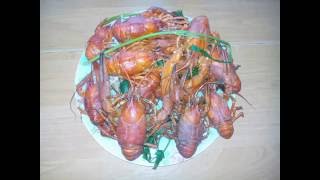 Ловля раков на раколовки летом, испытание бюджетной приманки, fishing, catching crabs, fish bait