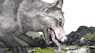 Feeding the Wolf