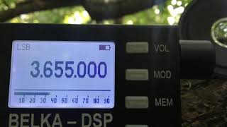 Belka DSP vs. Degen DE1103 on 80 m HAM Band
