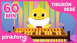 Tiburones Orquesta y más canciones de Tiburón Bebé | +Recopilación | Pinkfong Canciones Infantiles