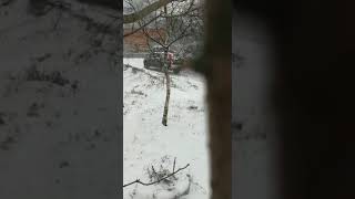 Пикап не смог... 17.11.2017 День Жестянщика во Владивостоке