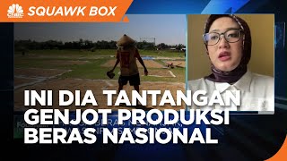 Isu Kesejahteraan Petani, Tantangan Genjot Produksi Beras Nasional