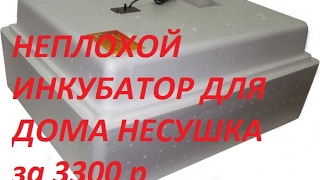 НЕПЛОХОЙ ИНКУБАТОР ДЛЯ ДОМА -НЕСУШКА ВСЕГО ЗА 3300 Р