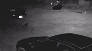Full catfight video