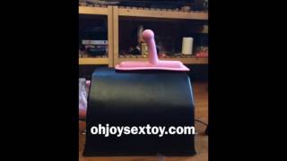 MotorBunny