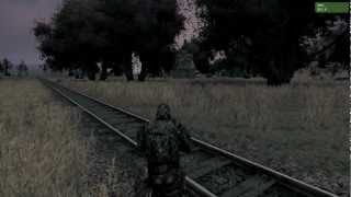 ARMA 2 stalker mod ....