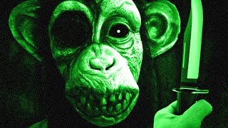 MURDER ZOO (The Hidden Source)