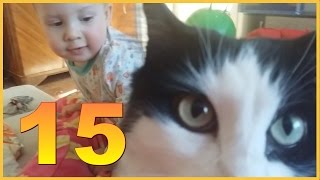 Второй год жизни Никитки | 15-й месяц | Ребенку 1 год 3 месяца | Ребенок и кошка ))