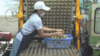 How tennis balls are made and manufactured - Wilson US Open