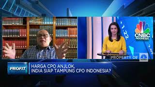 PASPI: Stok CPO Melimpah, RI Perlu Dorong Konsumsi Domestik Lewat B30