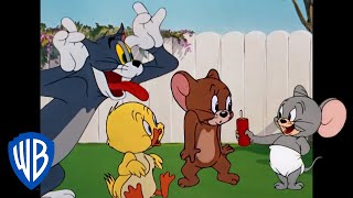 Tom y Jerry en Español | Sobrecarga de ternura