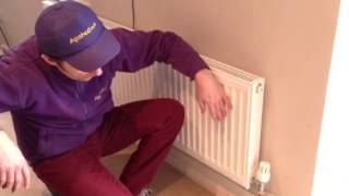 Purmo radiators