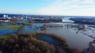 De Rijn bij Arnhem met hoog water (07-01-2018)