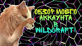 МОЙ АКК В ВАЙЛД КРАФТ! /ВИЛД КРАФТ ОНЛАЙН /МИСТИК/ПРЕМИУМ /ВИЛД КЛАБ/ВАЙЛД КЛАБ