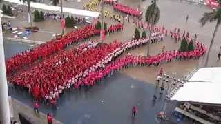 Giọt hồng tri ân – Hội quân Hành trình Đỏ 2014 - Xếp hình "Khát vọng Việt Nam" Part2