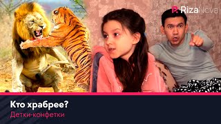 Детки-конфетки - Кто храбрее? ????????????