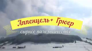 Легендарный Швейцарский Сыр