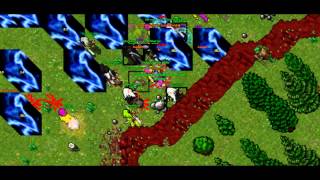 Tibia hellsway.net war and action
