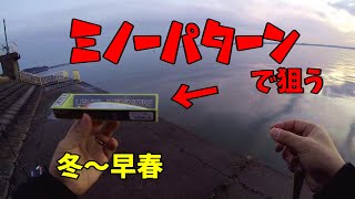 2020年2月　霞ヶ浦　ミノー　連続デコを食い止めろ編