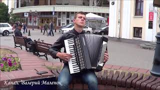 ОШИБКА! красивый французский вальс на аккордеоне! Brest! Music!