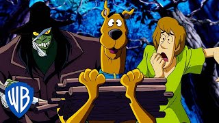 Scooby-Doo! en Français | Perdu dans les bois ️