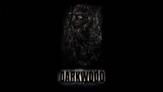 Darkwood OST -  Morning (No drone version)