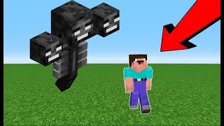 ВИЗЕР МУТАНТ ХОЧЕТ УБИТЬ НУБИКА В МАЙНКРАФТ ! НУБ ПРОТИВ ПРО ИГРОКОВ В MINECRAFT ТРОЛЛИНГ ЛОВУШКА !
