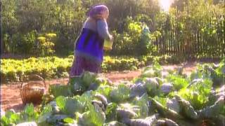 Дракоша и компания 19 серия