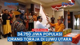 Populasi orang Toraja di Luwu Utara mencapai 34.750 jiwa atau sekitar 15 persen dari total penduduk.
