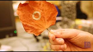 Duke's Flexible Printed Electronics for Medicin