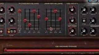 MusoTalk 103 - Angeklickt - VSM Virtual String Machine